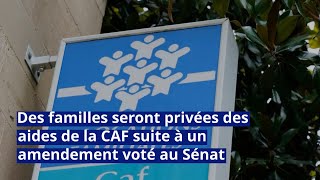 Des familles seront privées des aides de la CAF suite à un amendement voté au Sénat [upl. by Libbi]