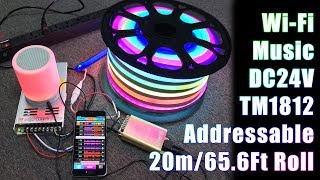 DC24V 656Ft20m Addressable RGB LED Neon Flex Lights Work with VSS WiFi Music Controller [upl. by Naryt607]