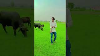 Rahul Singer mewati new reel mewati 😈😈 [upl. by Idnil]