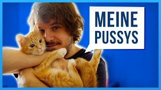 Geschichten meiner Katzen die euch schnurren lassen [upl. by Andromede715]