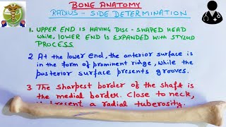 Radius bone Side determination l PART2 l Easy explanation [upl. by Mochun]