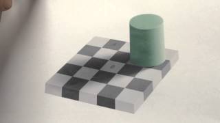 Checkerboard Illusion [upl. by Nova61]