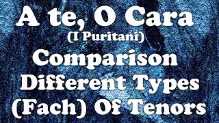 quotA Te O Caraquot I Puritani  A Direct Comparison Of Different Types Fach Of Tenors [upl. by Anilorac52]