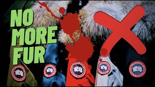 😲😲 CANADA GOOSE TO STOP USING FUR ON WINTER JACKETS [upl. by Broome]