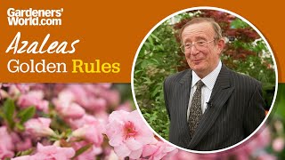 Caring for azaleas  Golden Rules [upl. by Emlin]