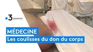 Médecine  les coulisses du don du corps à la science [upl. by Adnih264]