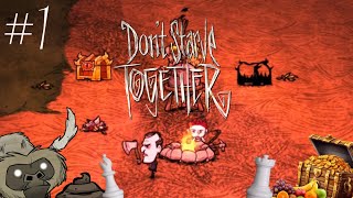 Don’t Starve Together 1  The Constant [upl. by Trainer]