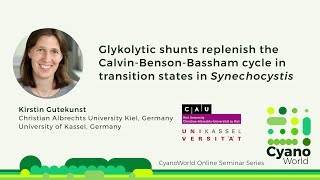 Kirstin Gutekunst  Glycolytic shunts replenish the Calvin cycle as anaplerotic reactions [upl. by Yebot15]