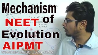 Mechanism of evolution class 12  Zoology lecture for NEET [upl. by Ataynek]