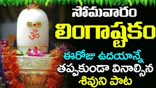 BRHMA MURARI SUVARCHITA LINGAM  LINGASHTAKAM  LORD SHIVA POPULAR STOTRAS  LORD SHIVA SONGS [upl. by Sucrad285]