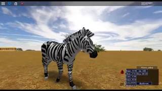 Plains ZebraRandom game Slot ARoblox [upl. by Iridissa]