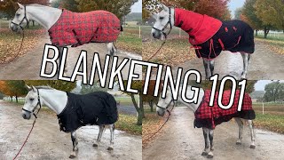 All About Horse Blanketing [upl. by Wendi]