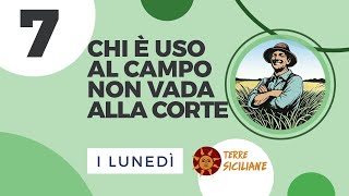 Chi è Uso al Campo non vada alla Corte 7 [upl. by Cirnek]