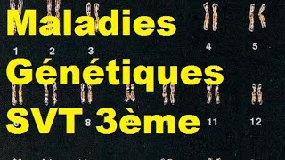 Les maladies génétiques  SVT 3ème [upl. by Lynnette]