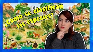 ¿Cómo se clasifican las especies [upl. by Nolie]