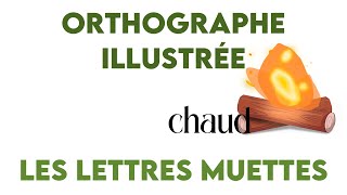 Orthographe illustrée  les lettres muettes [upl. by Eirlav412]