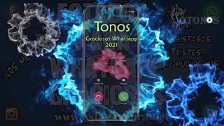 Descargar tonos de llamada Graciosos Whatsapp 2021 MP3 gratis para teléfono  Yotonos [upl. by Ellecrag]