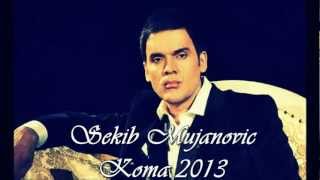 SEKIB MUJANOVIC  KOMA 2013 NOVO [upl. by Holsworth451]