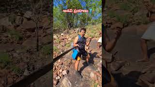 అడవిప్రయాణం🧗 adventure trekking hiking forest wildlife nature trending explore shorts me [upl. by Yannodrahc]