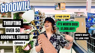 MY BEST FIND YET THRIFTING OVER 50 GOODWILL THRIFT STORES Thrift With Me Episode 5 [upl. by Revert]