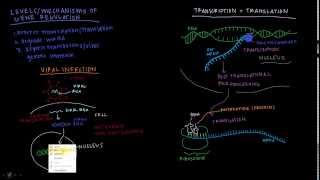 Khan Academy Talent Search  RNAi [upl. by Risley557]