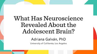 What Has Neuroscience Revealed About the Adolescent Brain [upl. by Gregoor]