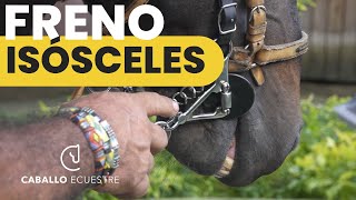 Frenos y embocaduras para caballos  FRENO ISÓSCELES articulado [upl. by Anotyal]