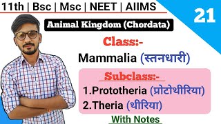 Subclass Prototheria  Theria  Classification Of Chordates  By Dadhich Sir [upl. by Ahrendt]