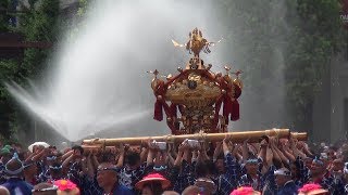 「深川八幡祭り」神輿連合渡御53基の全て [upl. by Nithsa808]