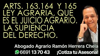 Arts 163 164 y 165 Ley Agrariaqué es el juicio agrario La suplencia del derecho [upl. by Melania629]