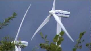 Windkraft für saubere Energie [upl. by Daney]