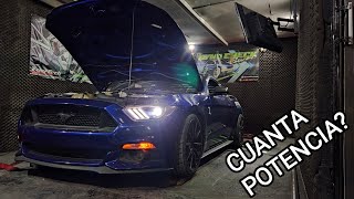 EL MUSTANG TIENE MUCHA POTENCIA 500HP [upl. by Acinyt]