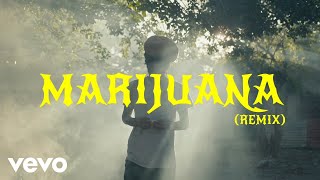 Mykal Rose Producer Ajal Sizzla  Marijuana Remix Lyric Video [upl. by Annais]