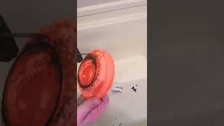 I Tried Cleaning A Clay Pigeon cleansingbrush needlewasher [upl. by Byram222]