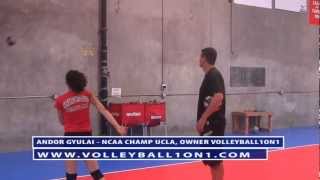 Coaching Youth Volleyball Spiking Technique [upl. by Nylecaj50]