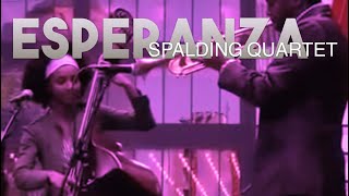 Esperanza Spalding Quartet  NYC [upl. by Alo]