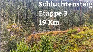 119 Km Schluchtensteig im Schwarzwald Etappe 3 [upl. by Barna]