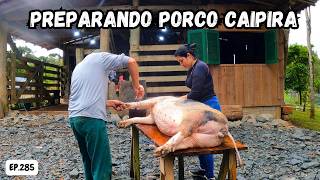 ABATEMOS UM PORCO CAIPIRA MUITA FARTURA CARNEBANHATORRESMO COMO É UMA CARNEAÇÃO DE PORCOEP285 [upl. by Idnil776]