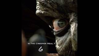 Is The Creeper Real 6 Eyewitnesses Say Yes Jeepers Creepers jeeperscreepers scary [upl. by Llyrpa]