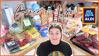 1Week Grocery Haul amp Meal Plan  ALDI HAUL  OCTOBER 2024 [upl. by Okechuku416]