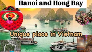 EP04 Vietnam capital city Hanoi and Hong bay [upl. by Artenak]