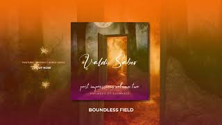 04 Valdi Sabev  Boundless Field [upl. by Mirielle]