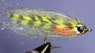 Fly tying  Baitfish streamer [upl. by Anitsyrhc]