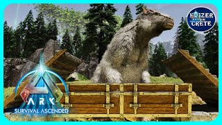 ASA Megatherium Trap  How to Build a Megatherium Trap  ARK Survival Ascended [upl. by Dante]