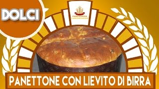 Panettone Tradizionale con Lievito di Birra [upl. by Tim]