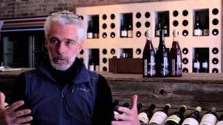 Why make wine in an amphora Frank Cornelissen answers [upl. by Yoshio]