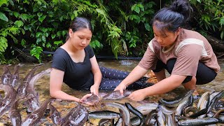 Full video 100 days of building a new life harvesting vegetables catching fish for a living [upl. by Elyssa777]