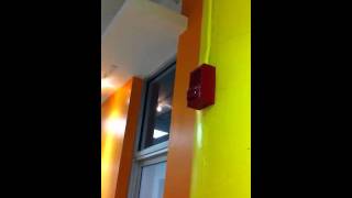 Fire alarm test  audio only  evacuation instructions [upl. by Anairuy354]