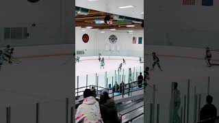 The Most Insane Hockey Game Ever [upl. by Blas]