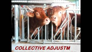 Jourdain  Number 1 in tubular steel equipment for cattle raising [upl. by Wolk]